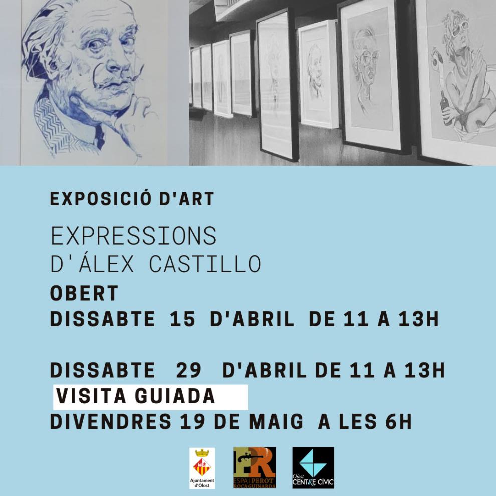 Visites guiades de l'exposició EXPRESSIONS d'Àlex Castillo